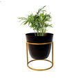 Table top flower metal black pot with iron stand