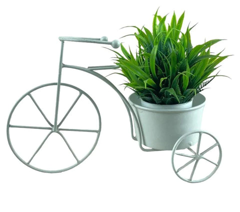 Metal Tricycle Planter (WHITE)