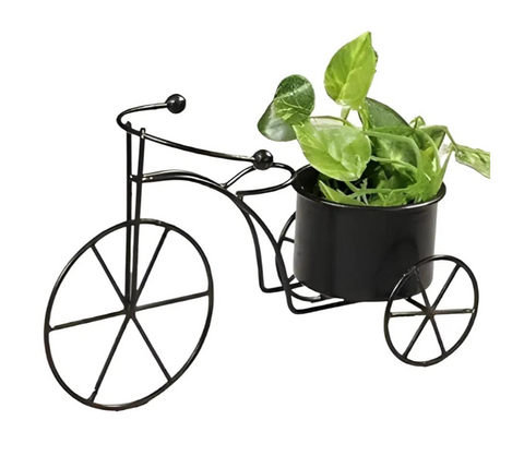 Metal Tricycle Planter (BLACK)