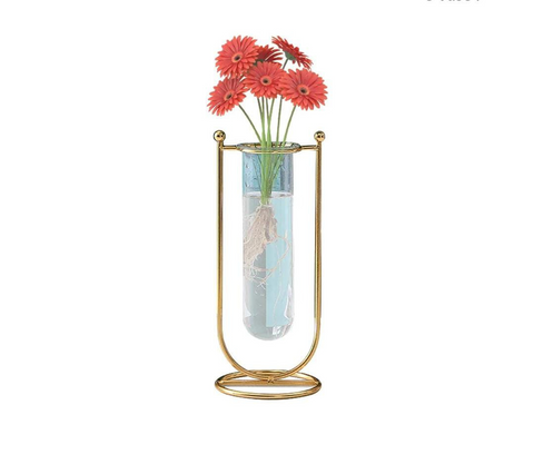 Test tube planter D
