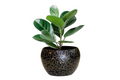 Meena metal flower pot - E