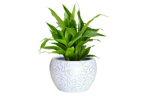 Meena metal flower pot - F