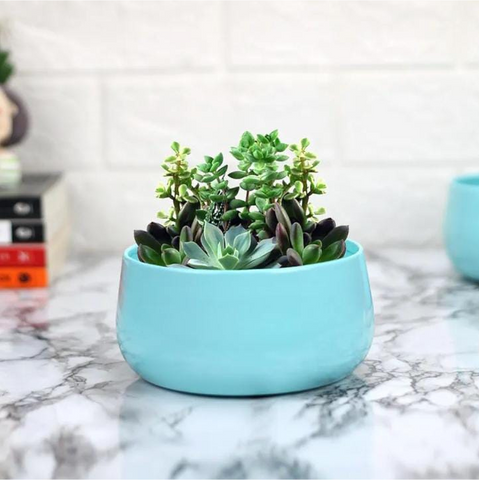 Metallic bowl shaped pot (SKY BLUE)