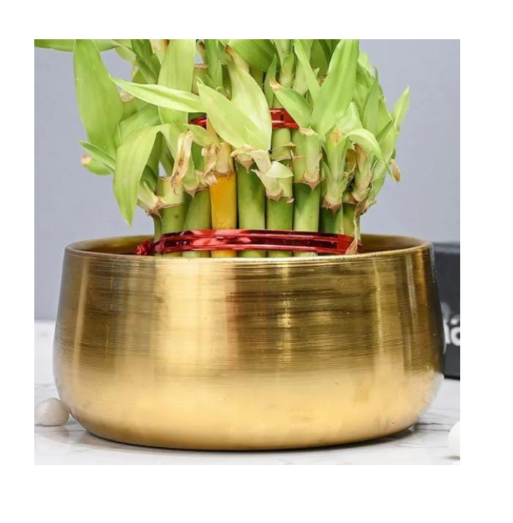 Golden metal pot