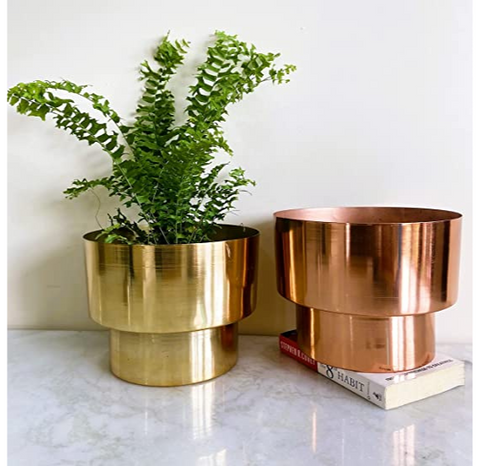 Golden pot [single]