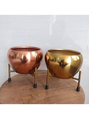 Golden apple pot [Single]