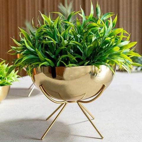 Golden bowl pot